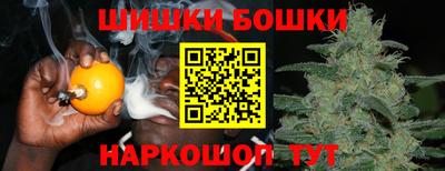 МДПВ Татарск
