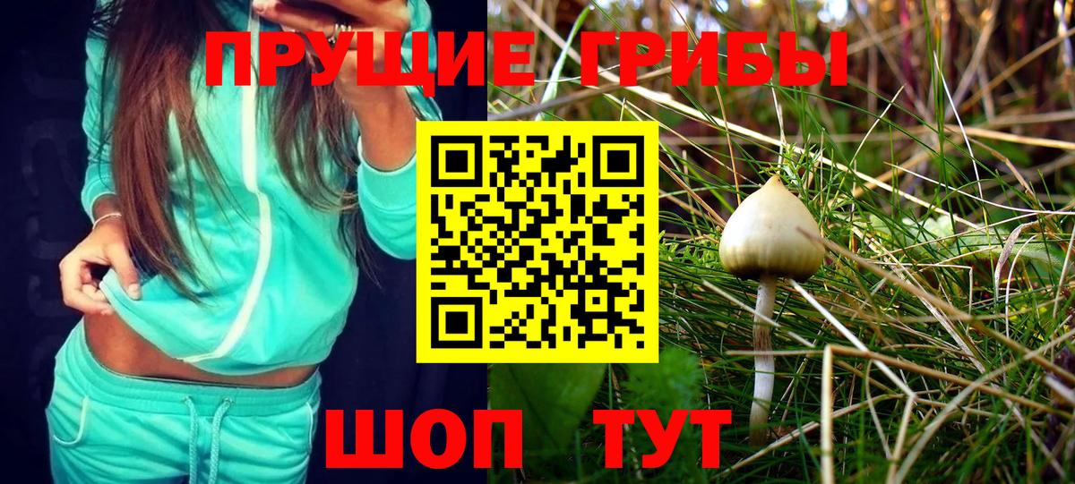 Галлюциногенные грибы Psilocybine cubensis  Вход с VPN  Нефтекумск  Псилоцибиновые грибы Psilocybe 
