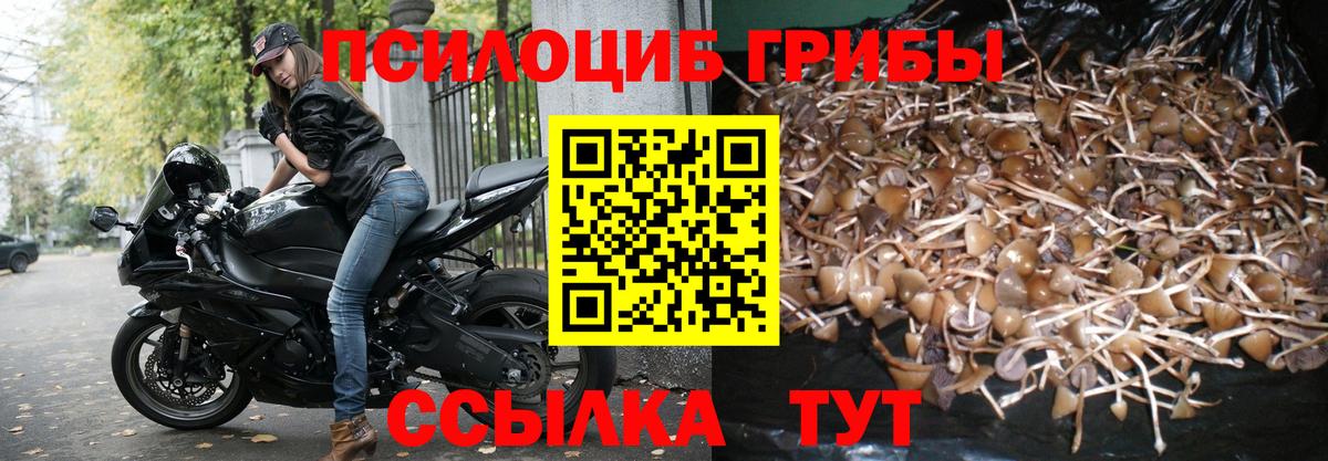 Галлюциногенные грибы GOLDEN TEACHER Нефтекумск